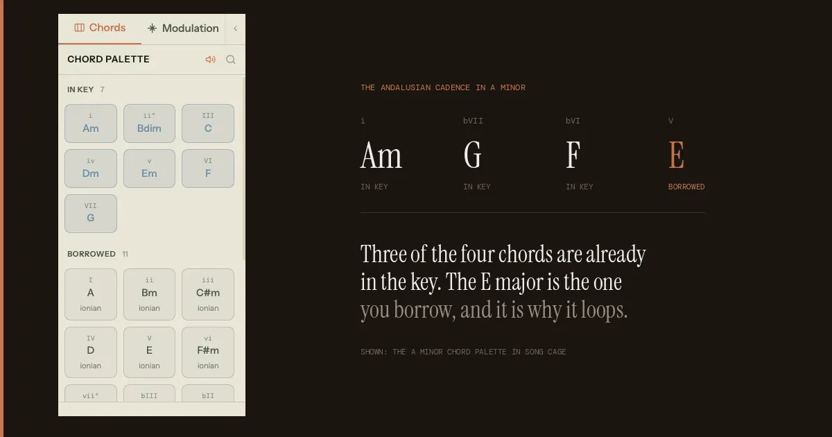 The A minor chord palette in Song Cage showing the Andalusian cadence: Am, G and F sit in the In Key row while the E major is borrowed
