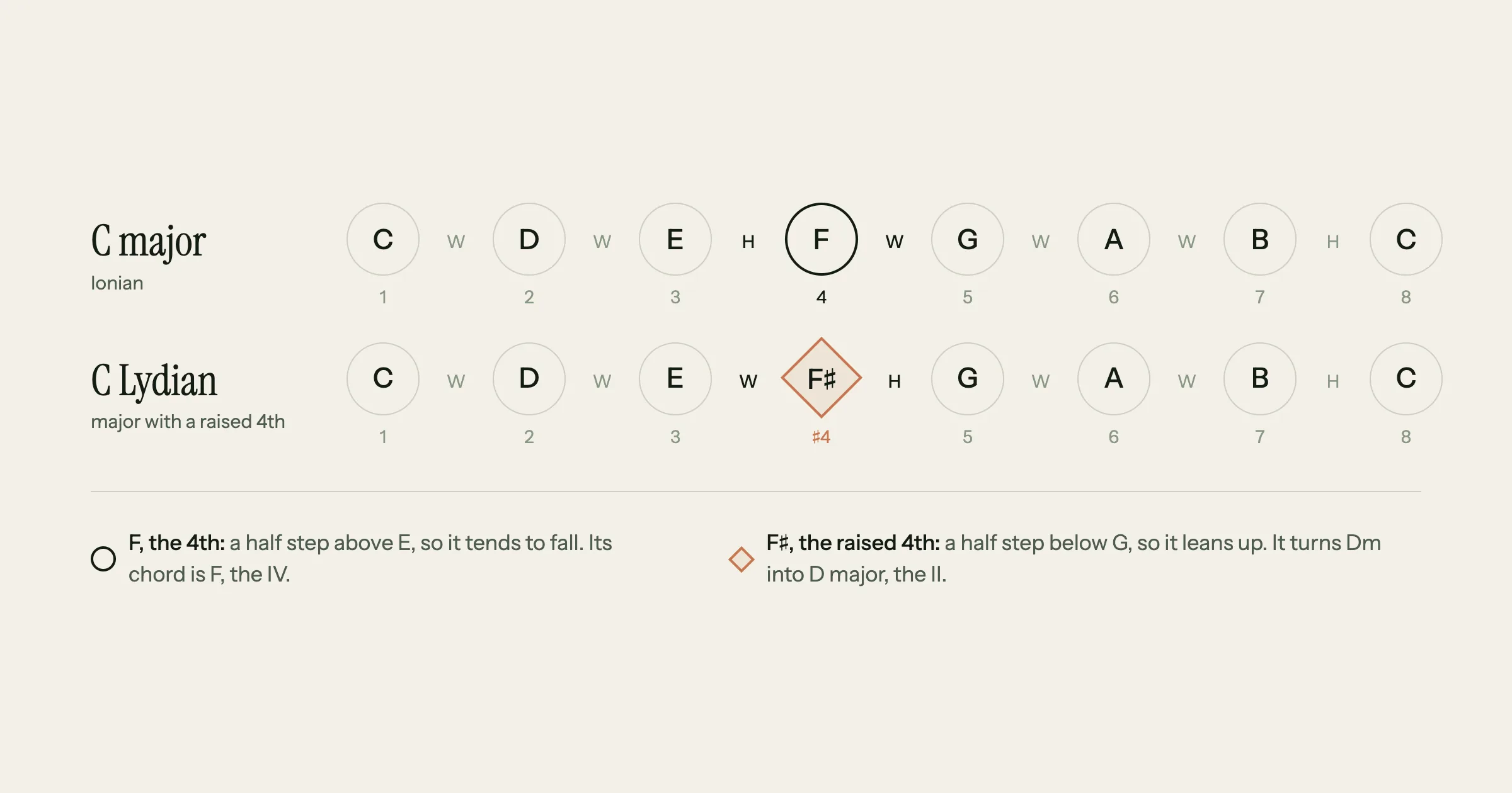 Diagram comparing C major (C D E F G A B C, steps W W H W W W H) with C Lydian (C D E F♯ G A B C, steps W W W H W W H): only the 4th moves, from F to F♯, which leans up to G and turns the minor ii chord Dm into the major II chord D
